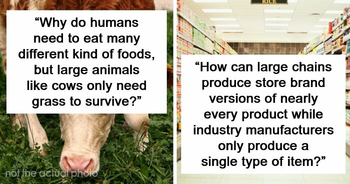 79 Questions People Had About The World And Others Answered Them Like They Were 5