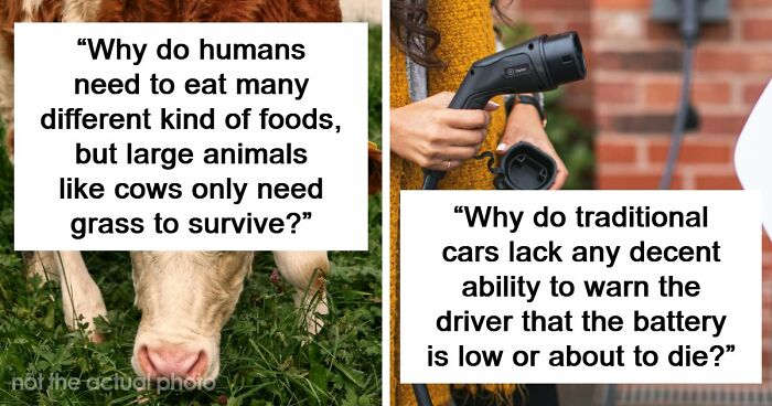 79 Questions People Had About The World And Others Answered Them Like They Were 5