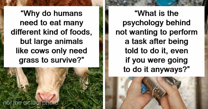 79 Questions People Had About The World And Others Answered Them Like They Were 5