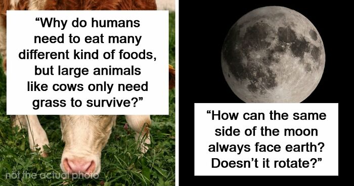 79 Questions People Had About The World And Others Answered Them Like They Were 5