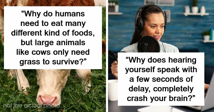 79 Questions People Had About The World And Others Answered Them Like They Were 5