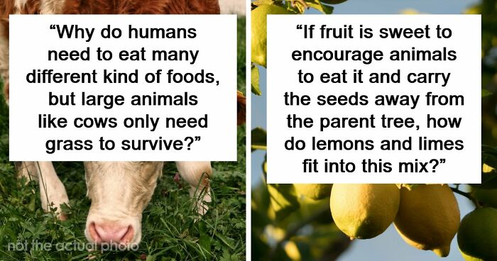 79 Questions People Had About The World And Others Answered Them Like They Were 5