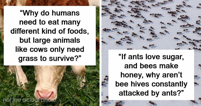 79 Questions People Had About The World And Others Answered Them Like They Were 5