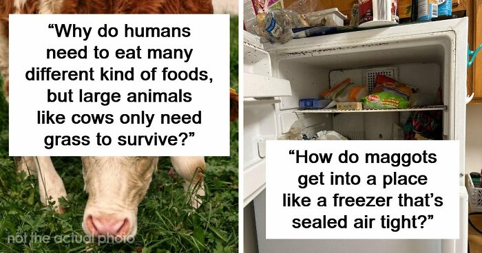79 Questions People Had About The World And Others Answered Them Like They Were 5