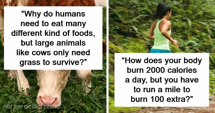 79 Questions People Had About The World And Others Answered Them Like They Were 5