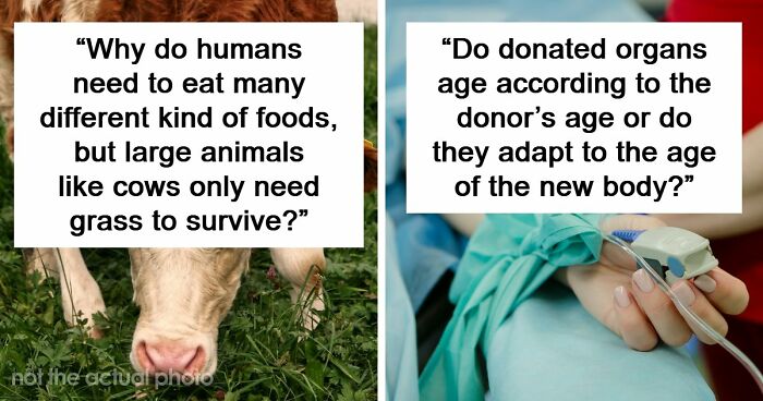 79 Questions People Had About The World And Others Answered Them Like They Were 5