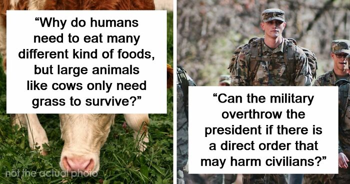 79 Questions People Had About The World And Others Answered Them Like They Were 5