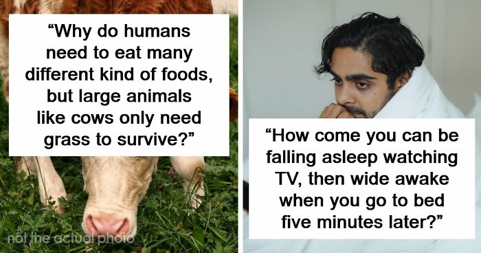 79 Questions People Had About The World And Others Answered Them Like They Were 5
