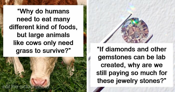 79 Questions People Had About The World And Others Answered Them Like They Were 5