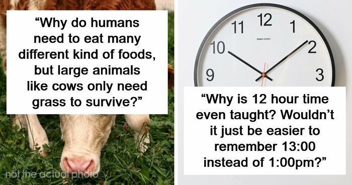 79 Questions People Had About The World And Others Answered Them Like They Were 5