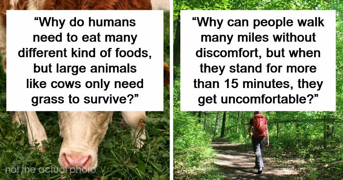 79 Questions People Had About The World And Others Answered Them Like They Were 5