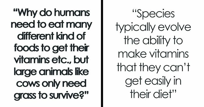 79 Questions People Had About The World And Others Answered Them Like They Were 5