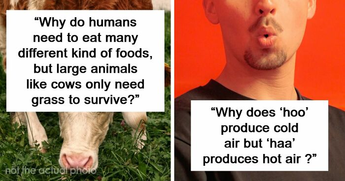 79 Questions People Had About The World And Others Answered Them Like They Were 5