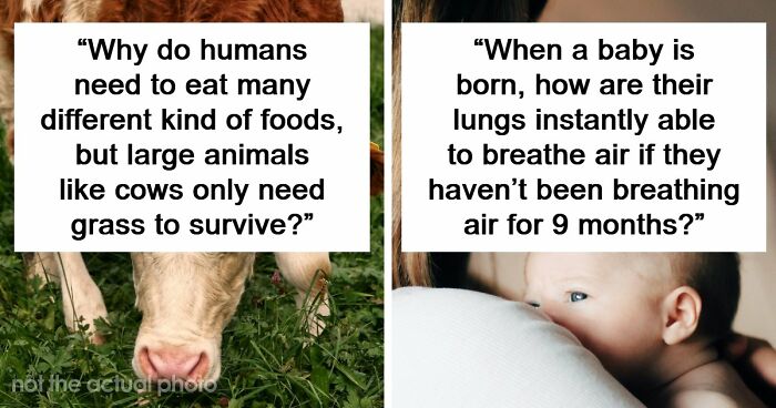 79 Questions People Had About The World And Others Answered Them Like They Were 5