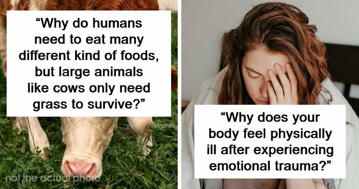 79 Questions People Had About The World And Others Answered Them Like They Were 5