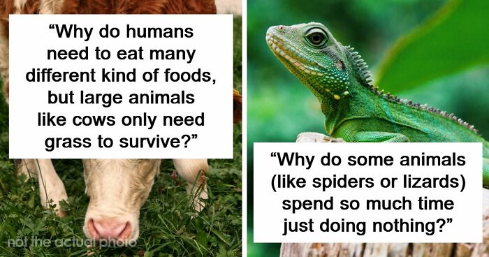 79 Questions People Had About The World And Others Answered Them Like They Were 5
