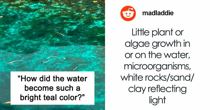 49 Posts From An Online Community Dedicated To Helping Each Other Figure Out How Things Work