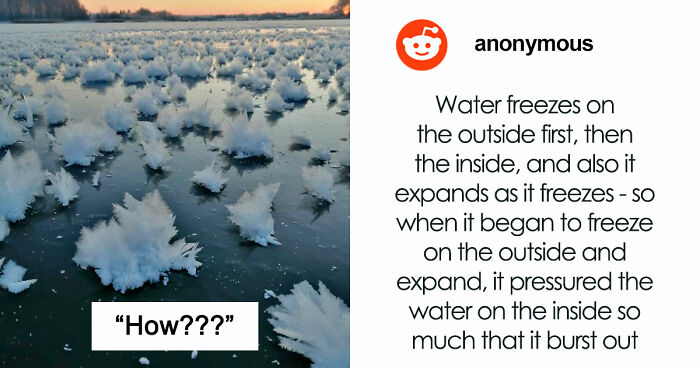 49 Posts From An Online Community Dedicated To Helping Each Other Figure Out How Things Work