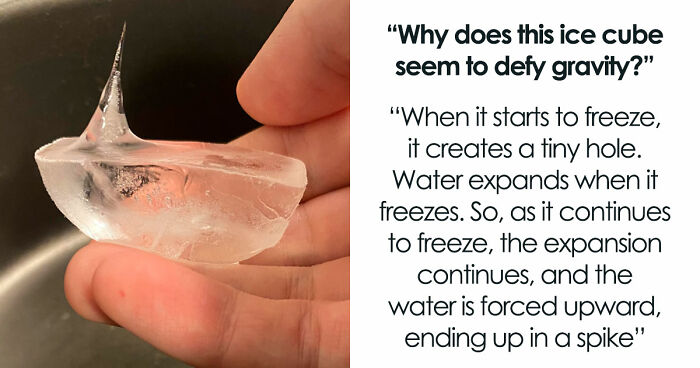 49 Posts From An Online Community Dedicated To Helping Each Other Figure Out How Things Work