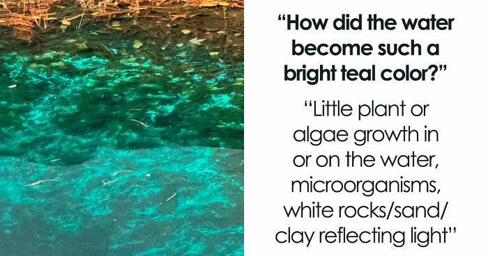 49 Posts From An Online Community Dedicated To Helping Each Other Figure Out How Things Work