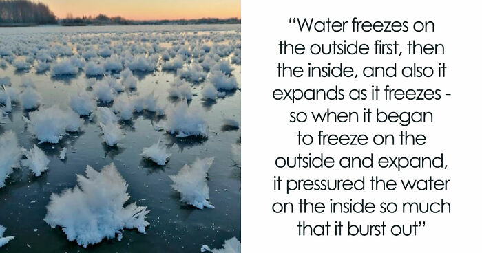 49 Posts From An Online Community Dedicated To Helping Each Other Figure Out How Things Work