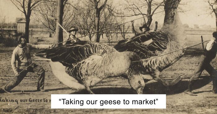 “Papers Ate It Up”: 35 Historical Pics That Prove Fake News Has Existed For The Longest Time