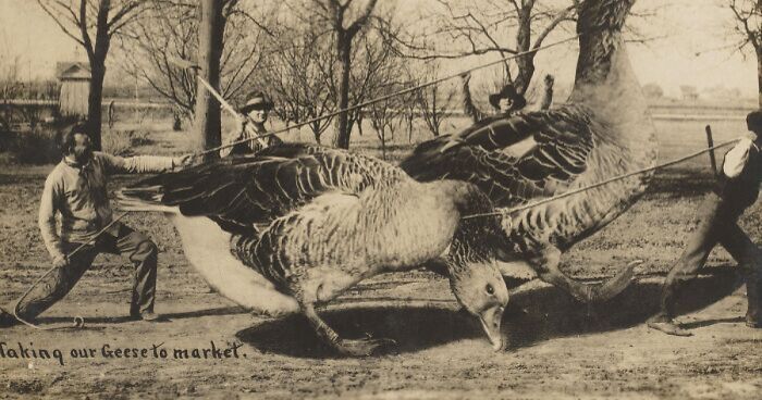 “Papers Ate It Up”: 35 Historical Pics That Prove Fake News Has Existed For The Longest Time