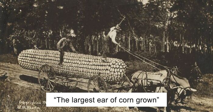 “Papers Ate It Up”: 35 Historical Pics That Prove Fake News Has Existed For The Longest Time