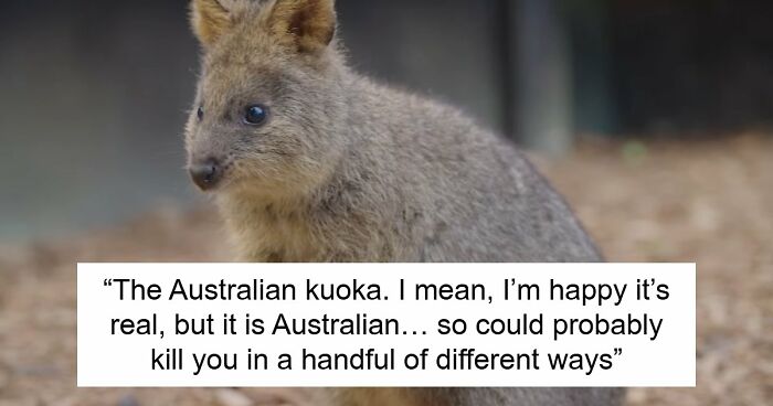 “What Animal Instantly Wins The ‘Looks Fake But Is Real’ Competition?” (35 Responses)