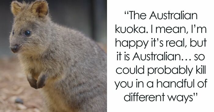 35 Real Animals That Look So Ridiculous People Refuse To Believe Nature Actually Made Them