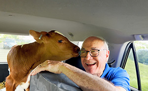 A Father, A Daughter, And Two Rescued Calves: The Unforgettable 600-Mile Journey Behind “Cow Trip”