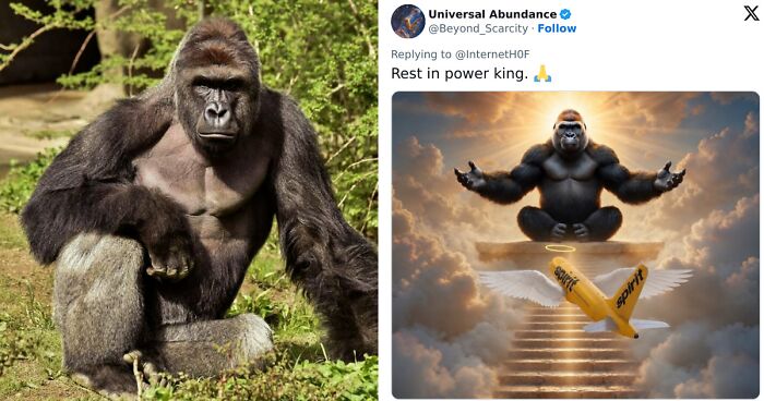 From Viral Memes To Heartfelt Tributes, Harambe’s 10th Anniversary Sparks Frenzy With White House In The Mix