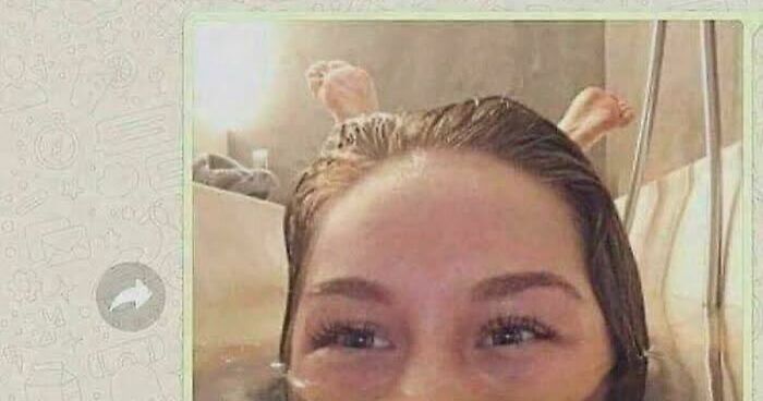 67 Hilarious Images That Are Somehow Both Blessed And Cursed