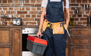 Company Finds Out A Year Later Their Revenge On A Guy Who Made Their Woman Plumber Cry Was A Success