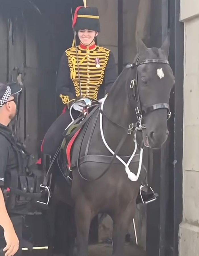 Female soldier smiling on horse preparing for event Female soldier smiling on horse preparing for event