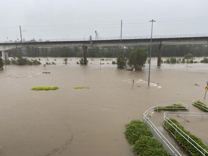 Severe floodwaters covering roads and vegetation under a highway bridge