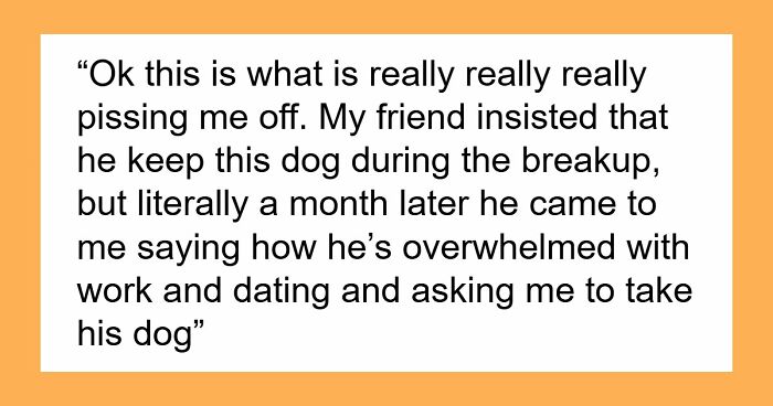 Guy Keeps Ex’s Old Dog With Him Out Of Spite, Hands Him Over To Friend After It Becomes Too Much