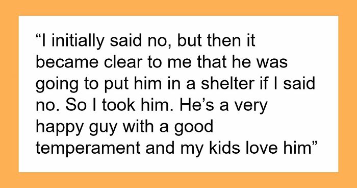 Guy Keeps Ex’s Old Dog With Him Out Of Spite, Hands Him Over To Friend After It Becomes Too Much