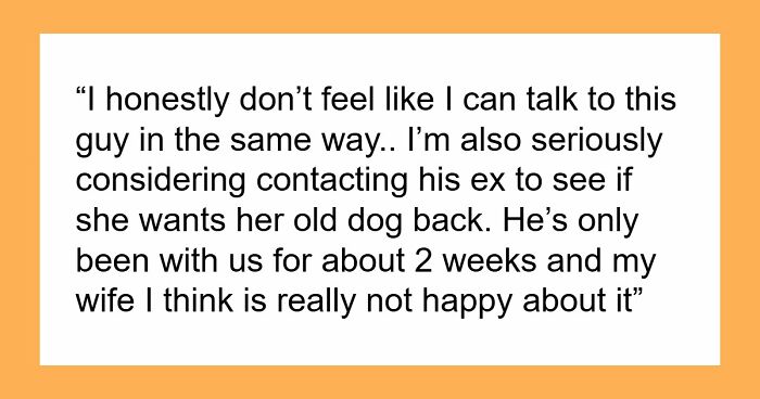 Guy Keeps Ex’s Old Dog With Him Out Of Spite, Hands Him Over To Friend After It Becomes Too Much