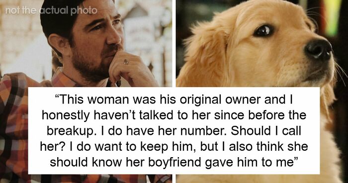 Guy Keeps Ex’s Old Dog With Him Out Of Spite, Hands Him Over To Friend After It Becomes Too Much