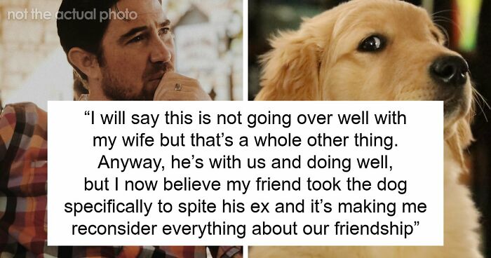 Guy Keeps Ex’s Old Dog With Him Out Of Spite, Hands Him Over To Friend After It Becomes Too Much