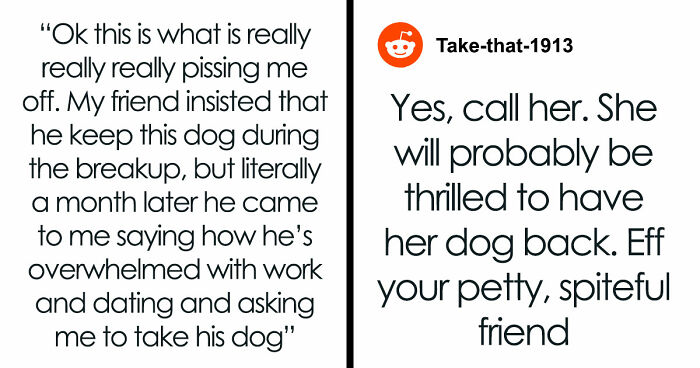 Guy Keeps Ex’s Old Dog With Him Out Of Spite, Hands Him Over To Friend After It Becomes Too Much