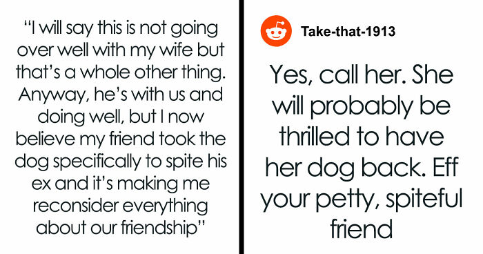 Guy Keeps Ex’s Old Dog With Him Out Of Spite, Hands Him Over To Friend After It Becomes Too Much