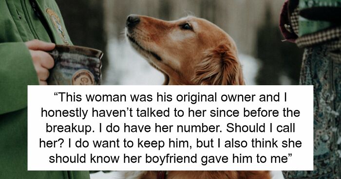Guy Keeps Ex’s Old Dog With Him Out Of Spite, Hands Him Over To Friend After It Becomes Too Much