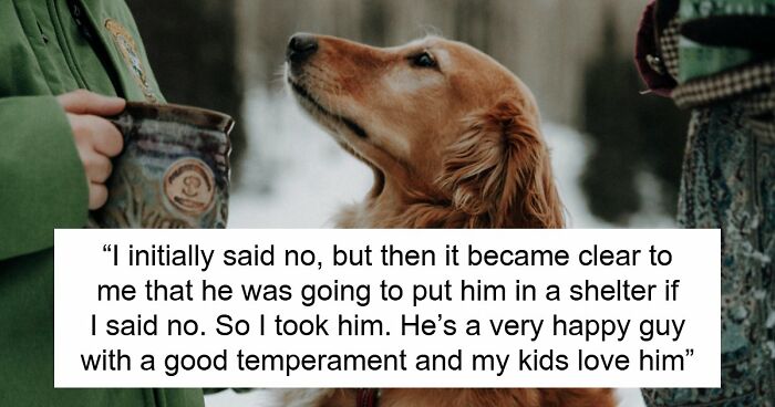 Guy Keeps Ex’s Old Dog With Him Out Of Spite, Hands Him Over To Friend After It Becomes Too Much