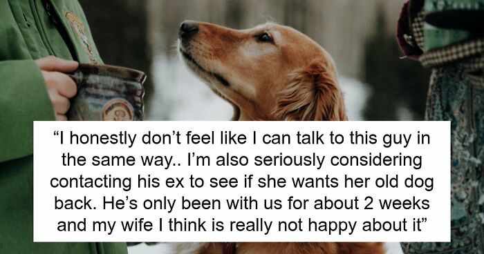 Guy Keeps Ex’s Old Dog With Him Out Of Spite, Hands Him Over To Friend After It Becomes Too Much