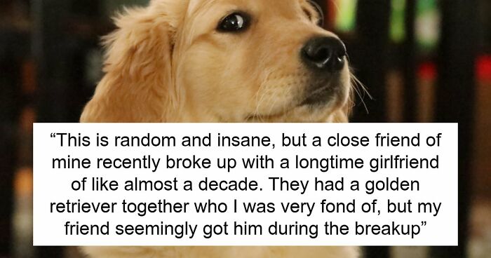 Guy Keeps Ex’s Old Dog With Him Out Of Spite, Hands Him Over To Friend After It Becomes Too Much