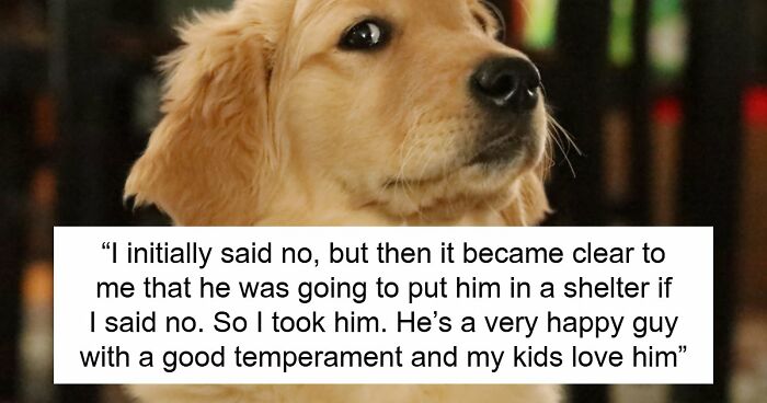 Guy Keeps Ex’s Old Dog With Him Out Of Spite, Hands Him Over To Friend After It Becomes Too Much