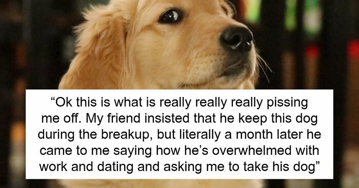 Guy Keeps Ex’s Old Dog With Him Out Of Spite, Hands Him Over To Friend After It Becomes Too Much