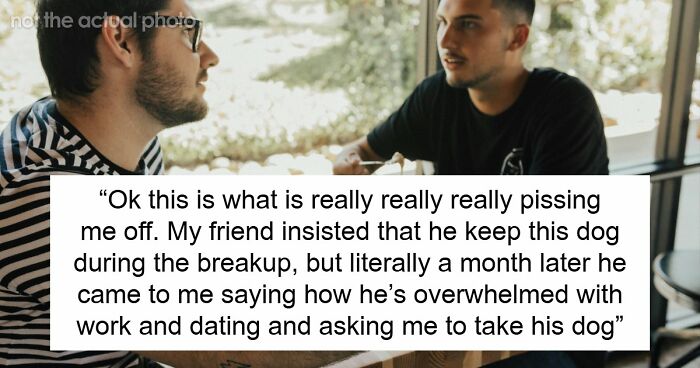 Guy Keeps Ex’s Old Dog With Him Out Of Spite, Hands Him Over To Friend After It Becomes Too Much